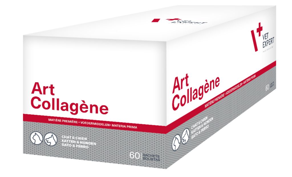 Art-Collagène - Vet Expert | J'ai plus de croquettes